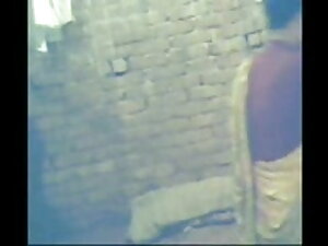 पॉर्न विडियो - पीटर नॉर्थ ने अपनी च ...